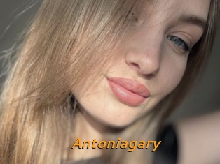Antoniagary