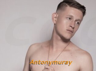 Antonymuray