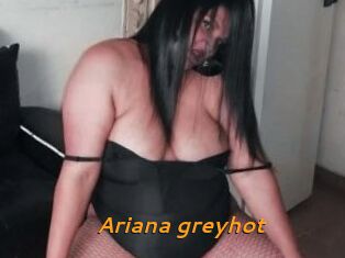 Ariana_greyhot