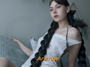 Ariaroe