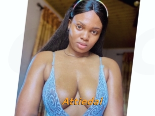Attiedal