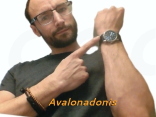Avalonadonis