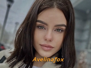 Avelinafox