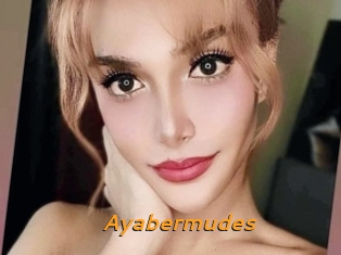 Ayabermudes