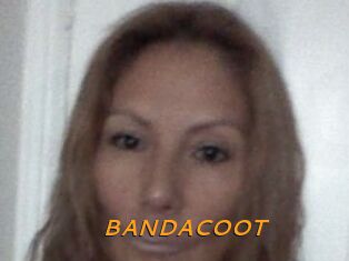 BANDACOOT