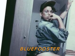 BLUEFOOSTER