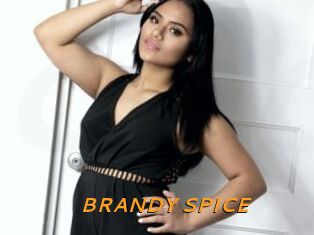 BRANDY_SPICE