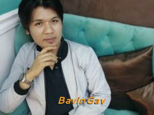 BavinGav