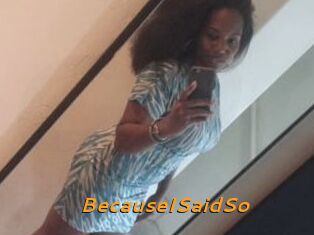 BecauseISaidSo