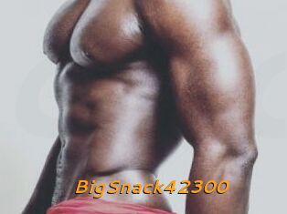 BigSnack42300