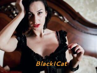 BlackICat