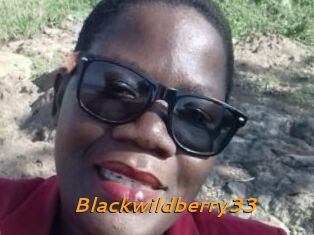 Blackwildberry33