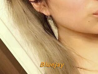 Blue_jay