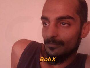 BobX
