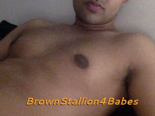 BrownStallion4Babes