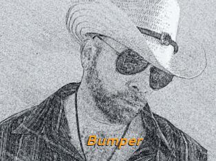 Bumper