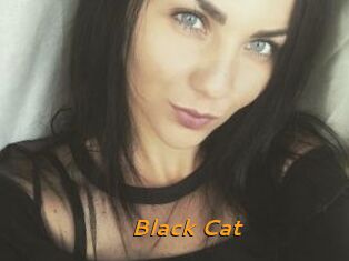 _Black_Cat