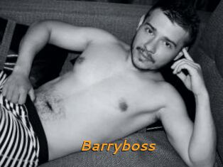 Barryboss