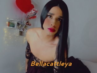 Bellacattleya