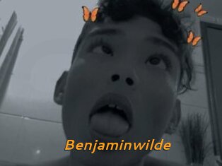Benjaminwilde