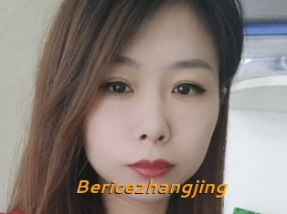 Bericezhangjing