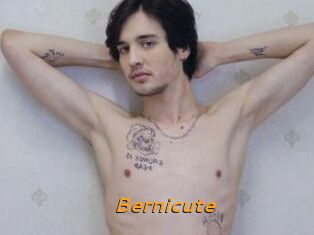Bernicute