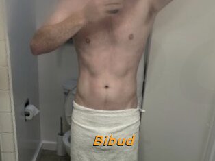 Bibud