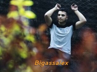 Bigassalex