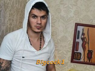 Bigcock1