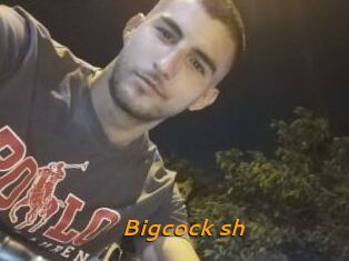 Bigcock_sh