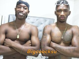 Bigcoocksu