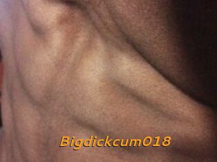Bigdickcum018
