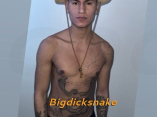 Bigdicksnake