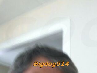 Bigdog614