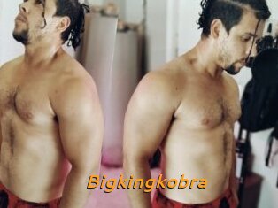 Bigkingkobra