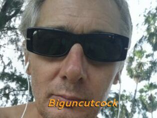 Biguncutcock