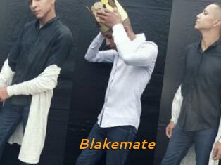 Blakemate