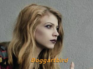 Boggartbird