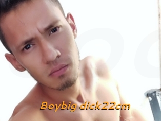 Boybig_dick22cm