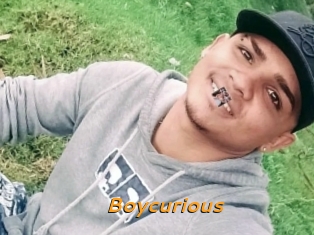 boycurious Cuckold Directory