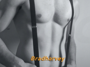 Bradharvey