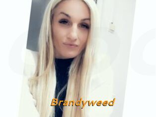 Brandyweed