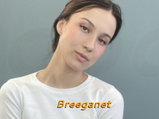 Breeganet