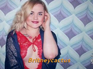 Britneycactus