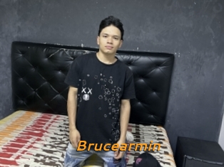 Brucearmin