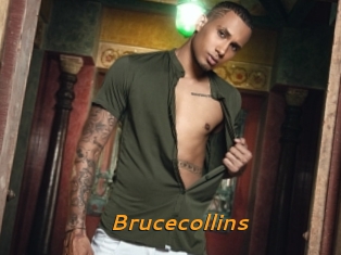 Brucecollins