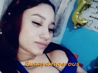 Bunnydangerous
