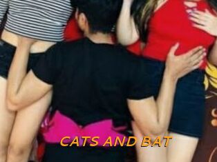 CATS_AND_BAT