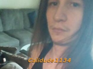 Calidude1134