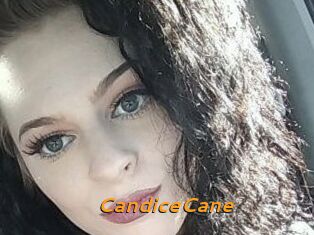 Candice_Cane